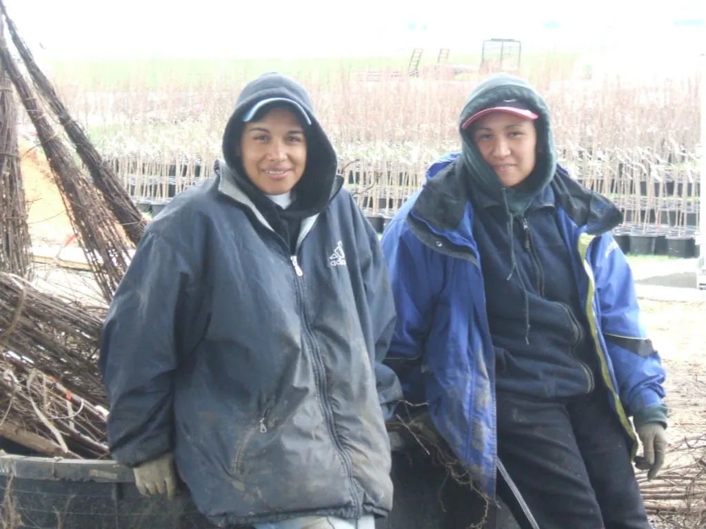 Family and container trees at the nursery