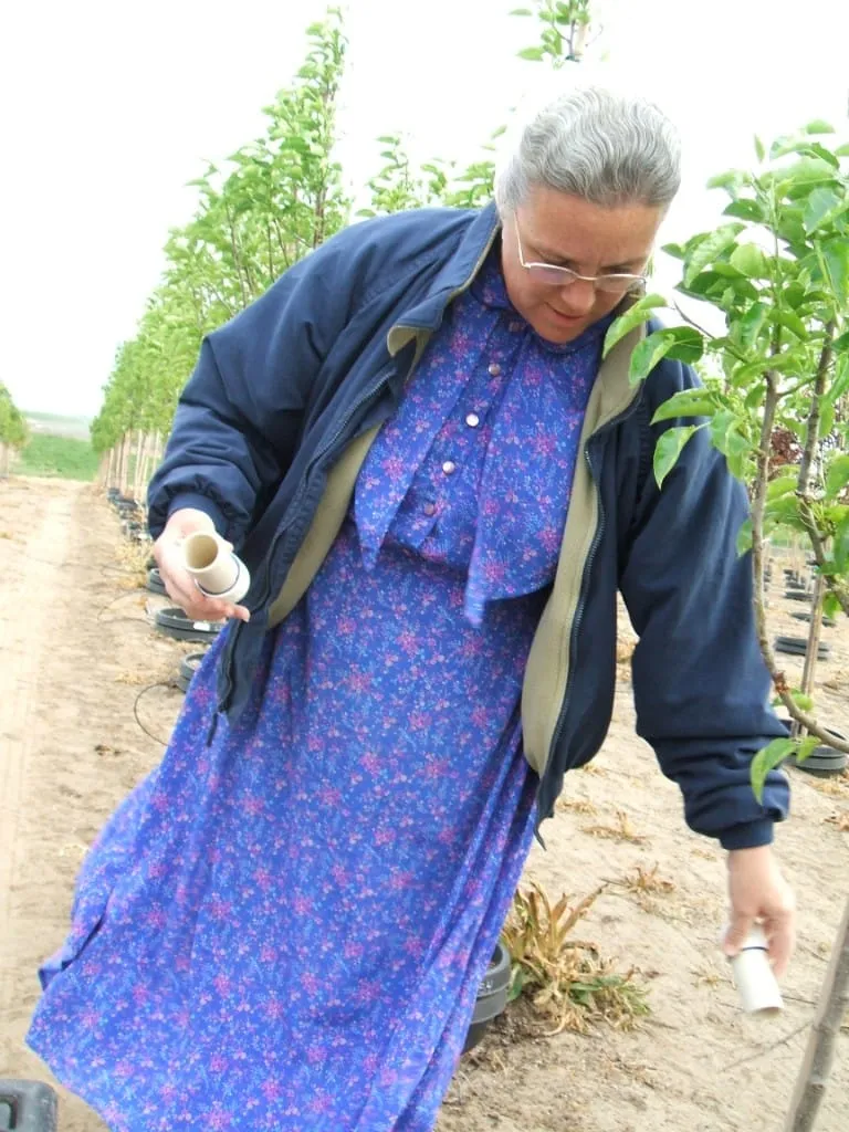 Young child visiting the nursery trees