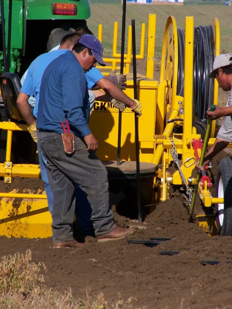 Men installing irrigation tubing beside yellow planting equipment