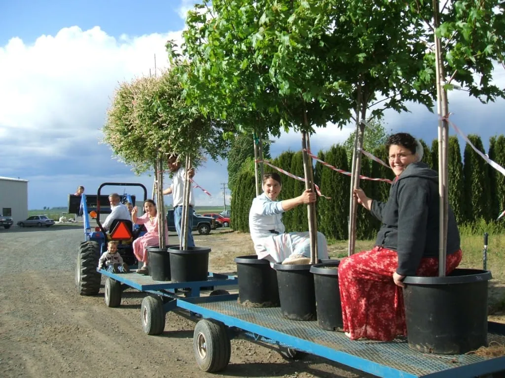 Family members in the tree rows