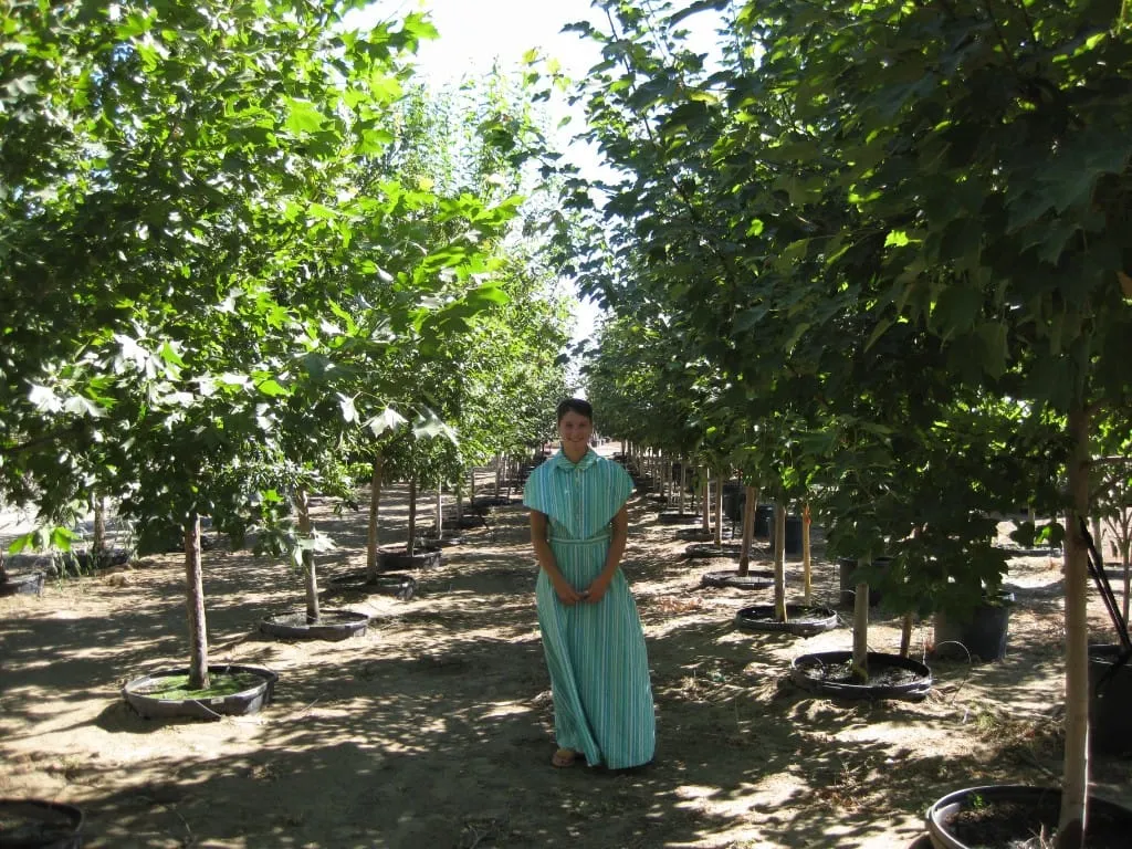 Young woman standing between two rows of leafy potted maple trees