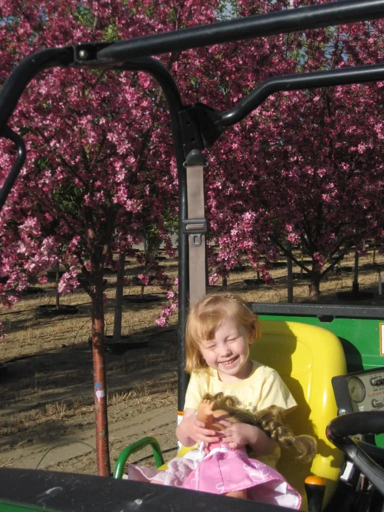 Young girl laughing in a John Deere utility vehicle with pink blossoming trees behind
