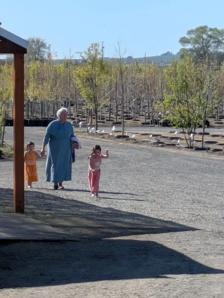 Grandmother walking with two young girls along a gravel path through nursery tree rows