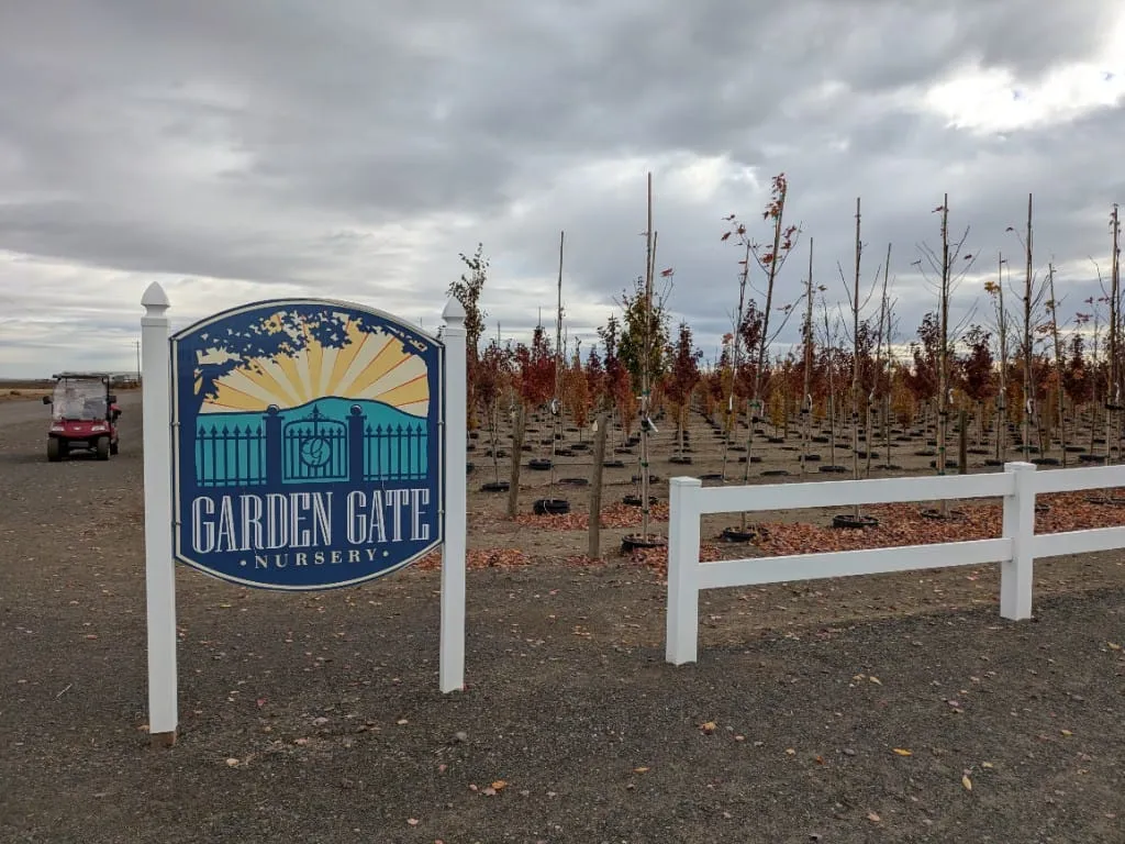 Garden Gate Nursery entrance sign in front of autumn tree rows